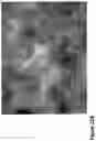Fig. 43 - Nanofiber-hydrogel composites for cell and tissue delivery