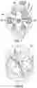 Fig. 06 - Open electric pump