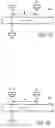 Fig. 20 - Method for tailoring dialysis treatment based on sensed potassium concentration in blood serum or dialysate