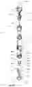 Fig. 10 - AUTO-INJECTOR