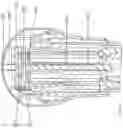 Fig. 09 - Injector with ready to use indicator