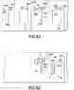 Fig. 25 - Safety pen needle assembly