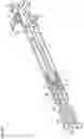 Fig. 33 - Syringe type ejection device