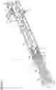Fig. 34 - Syringe type ejection device