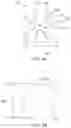 Fig. 06 - EXPANDABLE ENDOTRACHEAL DEVICE