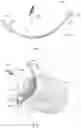 Fig. 02 - ENDOTRACHEAL INTUBATION DEVICE