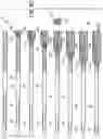 Fig. 12 - CATHETER APPARATUS AND METHODS FOR TREATING VASCULATURES