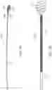 Fig. 03 - Expandable tip medical devices and methods