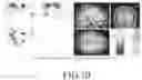 Fig. 11 - SYSTEM FOR TRAINING VISUAL ACUITY