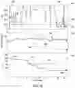 Fig. 09 - Dynamic control of transcutaneous electrical nerve stimulation therapy using continuous sleep detection