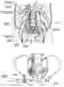 Fig. 15 - Systems and methods to place one or more leads in tissue for providing functional and/or therapeutic stimulation