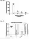 Fig. 04 - Treatment for loss of control disorders