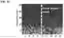 Fig. 08 - Treatment for loss of control disorders
