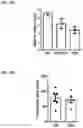 Fig. 12 - Treatment for loss of control disorders