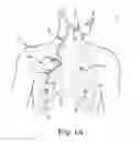 Fig. 02 - Method and system for applying stimulation in treating sleep disordered breathing