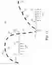 Fig. 12 - Method and system for applying stimulation in treating sleep disordered breathing