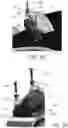 Fig. 27 - E-BOARD ACCELERATION FOOT SUPPORT