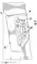 Fig. 07 - Gaming support assembly and controller holster