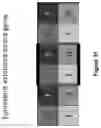 Fig. 22 - Game system