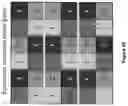 Fig. 30 - Game system