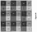 Fig. 42 - Game system