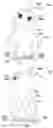 Fig. 01 - Robot having soft outer skin