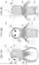 Fig. 09 - Robot having soft outer skin