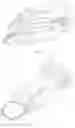 Fig. 04 - Child-mother toy