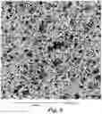 Fig. 09 - COMPOSITE MEMBRANES WITH IMPROVED PERFORMANCE AND/OR DURABILITY AND METHODS OF USE