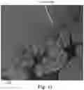 Fig. 11 - COMPOSITE MEMBRANES WITH IMPROVED PERFORMANCE AND/OR DURABILITY AND METHODS OF USE