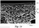 Fig. 12 - COMPOSITE MEMBRANES WITH IMPROVED PERFORMANCE AND/OR DURABILITY AND METHODS OF USE