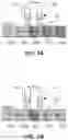 Fig. 09 - Microfluidic mixer