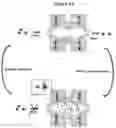Fig. 12 - METHOD FOR MANIPULATING MAGNETIC PARTICLES IN A LIQUID MEDIUM