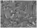 Fig. 01 - Microwave synthesis of lithium thiophosphate composite materials