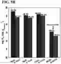 Fig. 07 - RADIONUCLIDE ADSORBENT, METHOD FOR PREPARING THE SAME AND METHOD FOR REMOVING RADIONUCLIDE USING THE SAME
