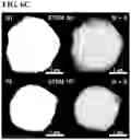 Fig. 10 - RADIONUCLIDE ADSORBENT, METHOD FOR PREPARING THE SAME AND METHOD FOR REMOVING RADIONUCLIDE USING THE SAME