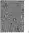 Fig. 05 - Compositions for high temperature catalysis