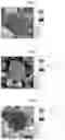 Fig. 04 - Exhaust gas purification catalyst