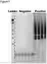 Fig. 08 - Selectively vented biological assay devices and associated methods