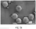 Fig. 08 - Dissolving droplet microfluidic particle assembly devices and methods, and particle assemblies obtained therefrom