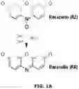 Fig. 02 - Electrochemical metabolic activity detecting device