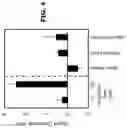 Fig. 14 - Electrochemical metabolic activity detecting device