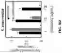 Fig. 18 - Electrochemical metabolic activity detecting device