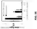 Fig. 19 - Electrochemical metabolic activity detecting device
