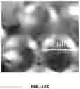 Fig. 29 - Electrochemical metabolic activity detecting device