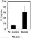 Fig. 30 - Electrochemical metabolic activity detecting device