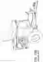 Fig. 03 - Height adjustment system for one or more spray guns used in a line striper