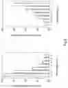 Fig. 05 - Method for producing a formed component having a dimensionally accurate wall region