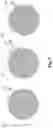 Fig. 08 - Regeneration device for regenerating a coolant dispersion