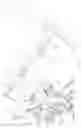 Fig. 27 - FOOD COOKING DEVICE